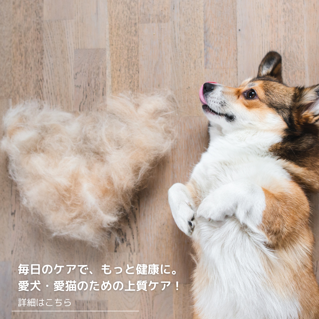 犬猫ケア用品