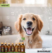 犬猫の肌トラブル別7種 ZOORO ボタニカルシャンプー 200ml | ケミカル・合成香料・動物性成分不使用｜ペット用シャンプー・リンス