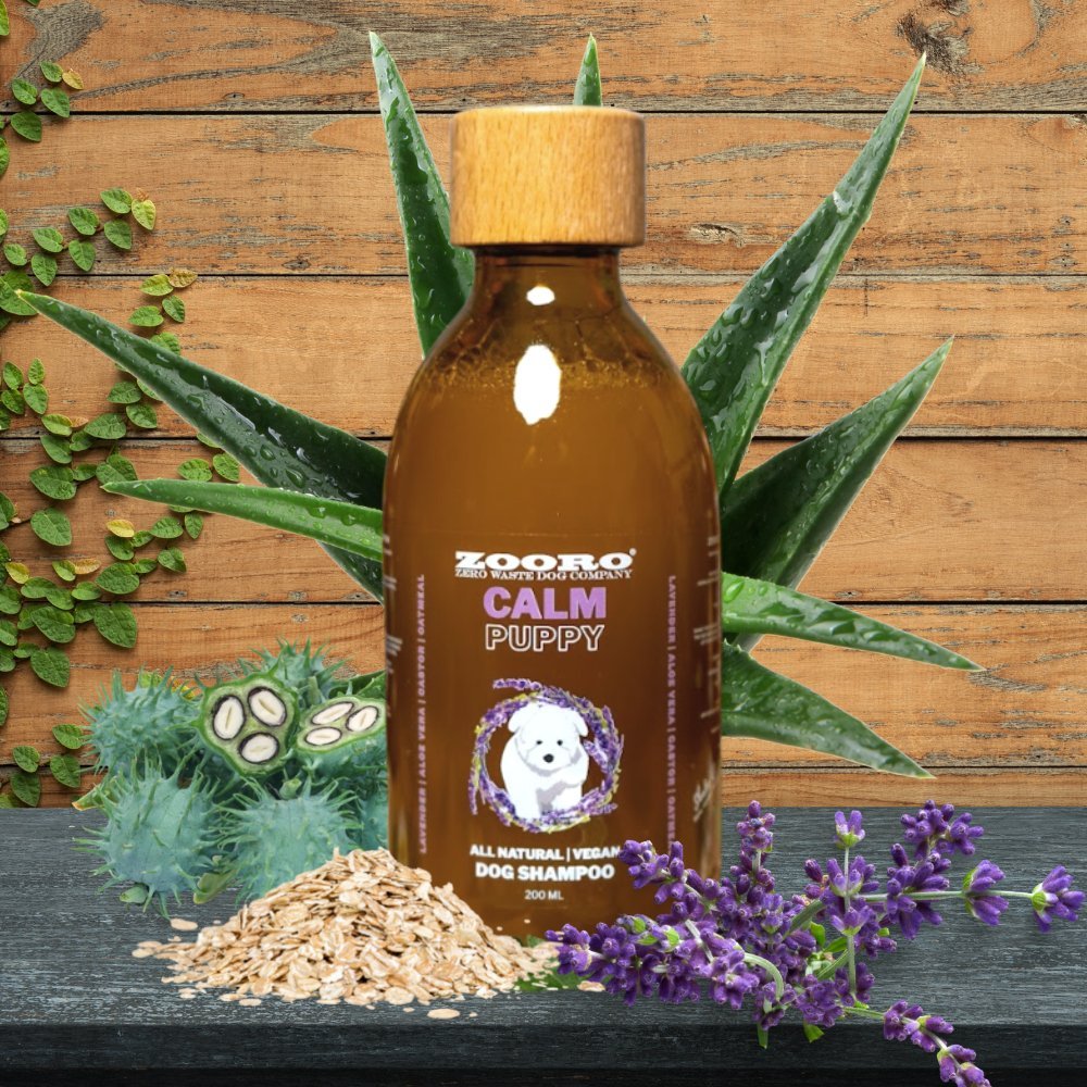 犬猫用シャンプー ZOORO ボタニカル シャンプー 200ml | アレルギー
