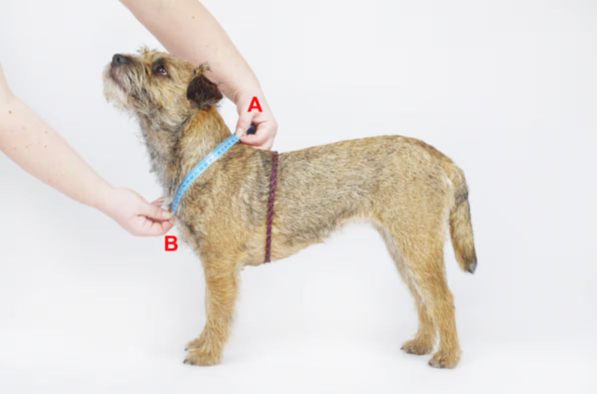 犬用ハーネス 4dox - コンフォートプラスハーネス XL / XXL