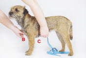 犬用ハーネス 4dox - コンフォートプラスハーネス XL / XXL
