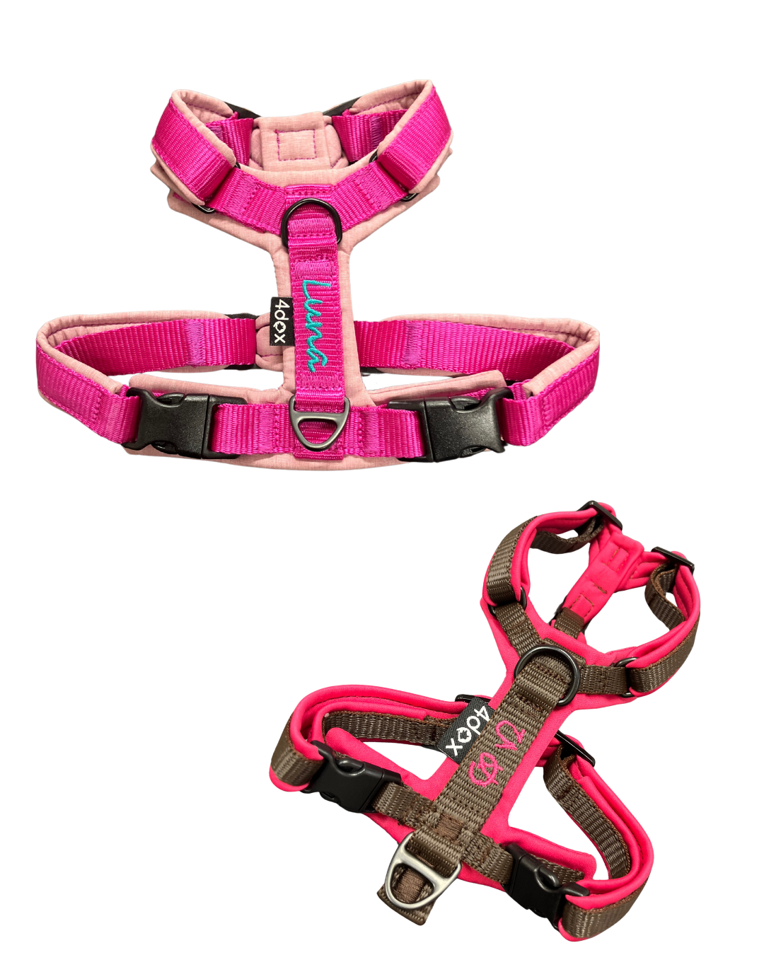 犬用ハーネス 4dox コンフォトプラスハーネス 小型犬用 – カスタムメイドハーネス オリジナルカラー＆文字入れ無料