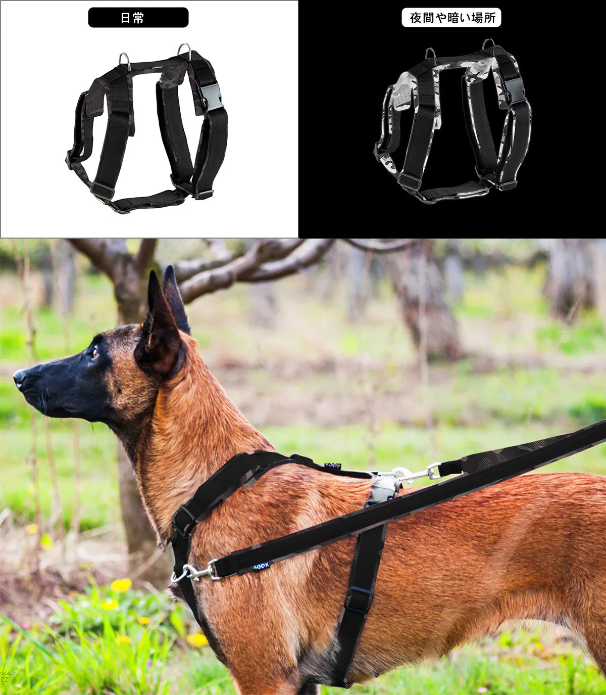犬用ハーネス 【正規取扱店】4dox(フォードックス) コンフォートプラスハーネス