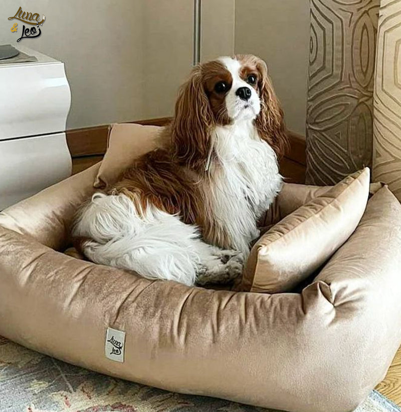 Dog Bed Leo &amp; Luna Pet Bed - Velvet 