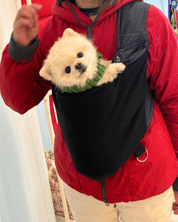 犬用 Kangapoochドッグスリング - 安全で快適な犬抱っこ紐｜ドッグスリング｜犬用 Kangapoochドッグスリング - 安全で快適な犬抱っこ紐