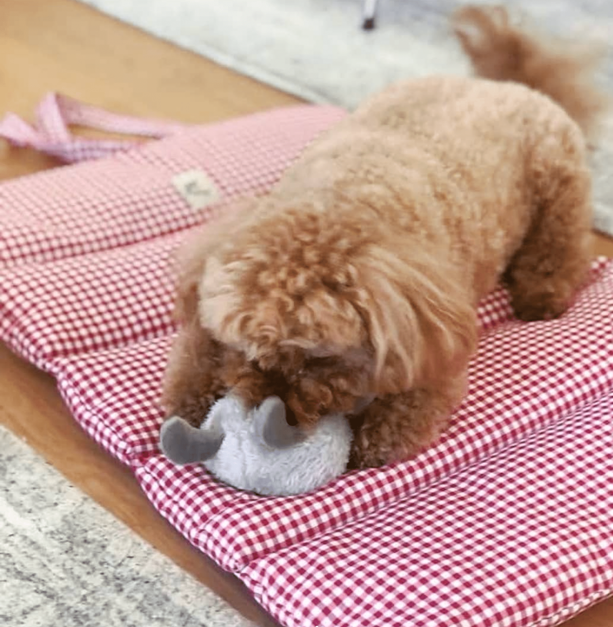 犬用ロールアップマット | Leo & Luna トワルドジュイコレクション 犬用ロールアップマット | Leo & Luna トワルドジュイコレクション