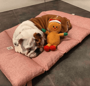 犬用 ロールアップマット Leo & Luna トワルドジュイコレクション｜犬用マット｜スクリーンショット 2024 - 11 - 22 20.45.39.png__PID:f9b43c2c - 3898 - 4699 - b860 - 9022f277f0ab
