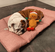 犬用 ロールアップマット Leo & Luna トワルドジュイコレクション｜犬用マット｜スクリーンショット 2024 - 11 - 22 20.45.39.png__PID:f9b43c2c - 3898 - 4699 - b860 - 9022f277f0ab