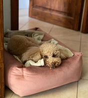 犬猫用ベッド Leo & Luna ベルベットコレクション - 撥水性と通気性抜群のおしゃれベッド｜犬猫用ベッド｜犬猫用ベッド Leo & Luna ベルベットコレクション - 撥水性と通気性抜群のおしゃれベッド｜犬猫用ベッド