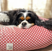 犬猫用ベッド Leo & Luna - クロワゾンネコレクション | 縁起の良い七宝文様で快適・スタイリッシュ｜犬猫用ベッド｜犬猫用ベッド Leo & Luna クロワゾンネコレクション - Alice's Dog & Catproduct_type