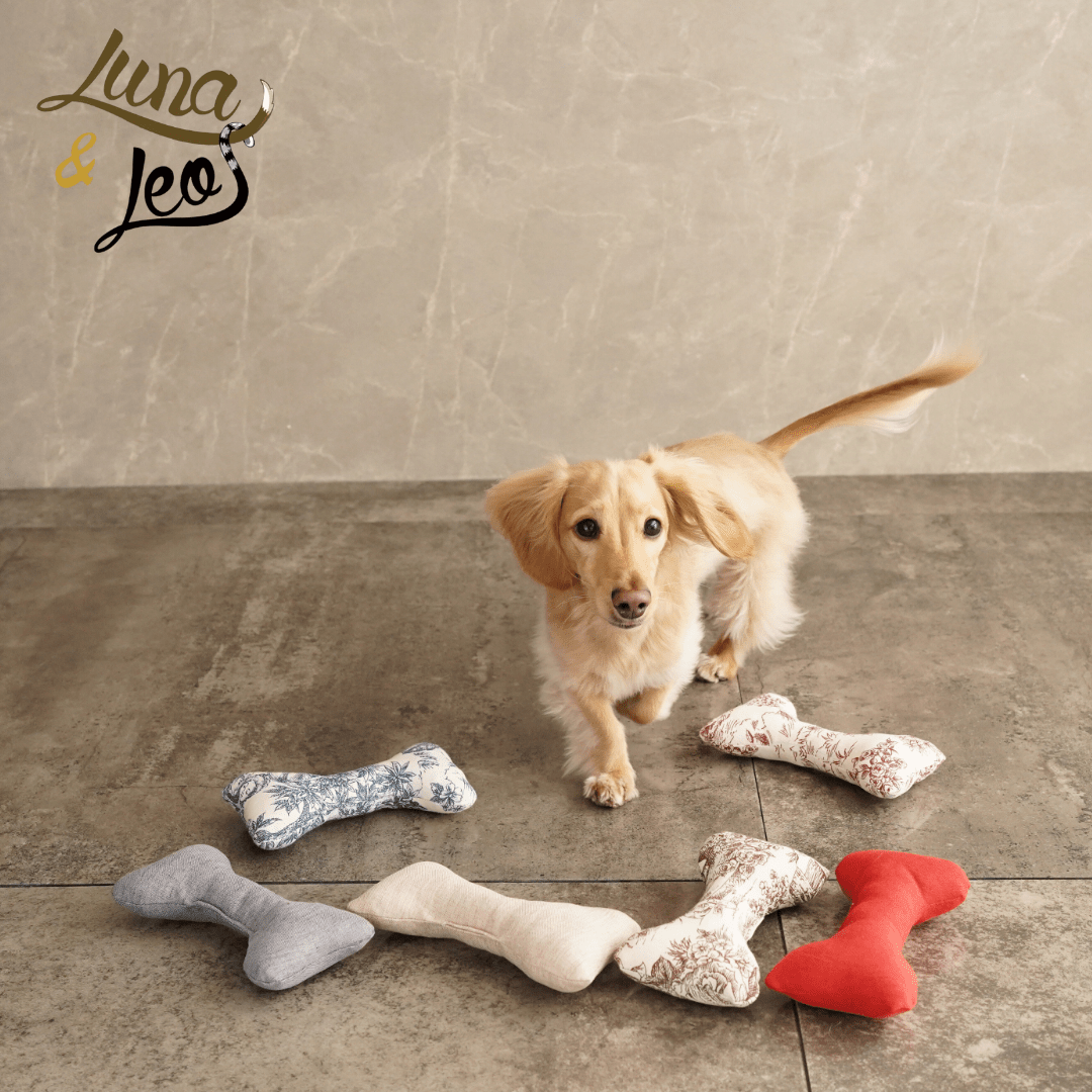 犬猫用おもちゃ Leo & Luna ボーントイ - 噛む楽しさと遊び心を両立｜ペット・ペット用品｜犬猫用おもちゃ Leo & Luna ボーントイ - 噛む楽しさと遊び心を両立｜ペット・ペット用品