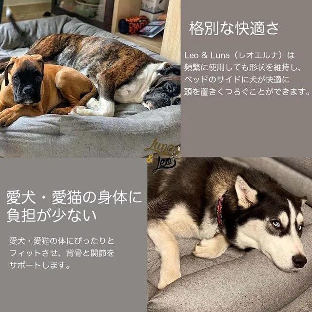 犬猫用ベッド Leo & Luna シッタコレクション グレー| 快適・スタイリッシュでインテリアにも最適｜犬猫用ベッド