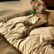 犬猫用ベッド Leo & Luna ベルベットコレクション - 撥水性と通気性抜群のおしゃれベッド｜犬猫用ベッド｜犬猫用ベッド Leo & Luna ベルベットコレクション - 撥水性と通気性抜群のおしゃれベッド｜犬猫用ベッド