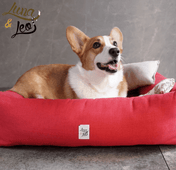 犬猫用ベッド Leo & Luna シッタコレクション - おしゃれなインテリアにも最適｜犬猫用ベッド｜犬用ベッド コーギー犬も快適