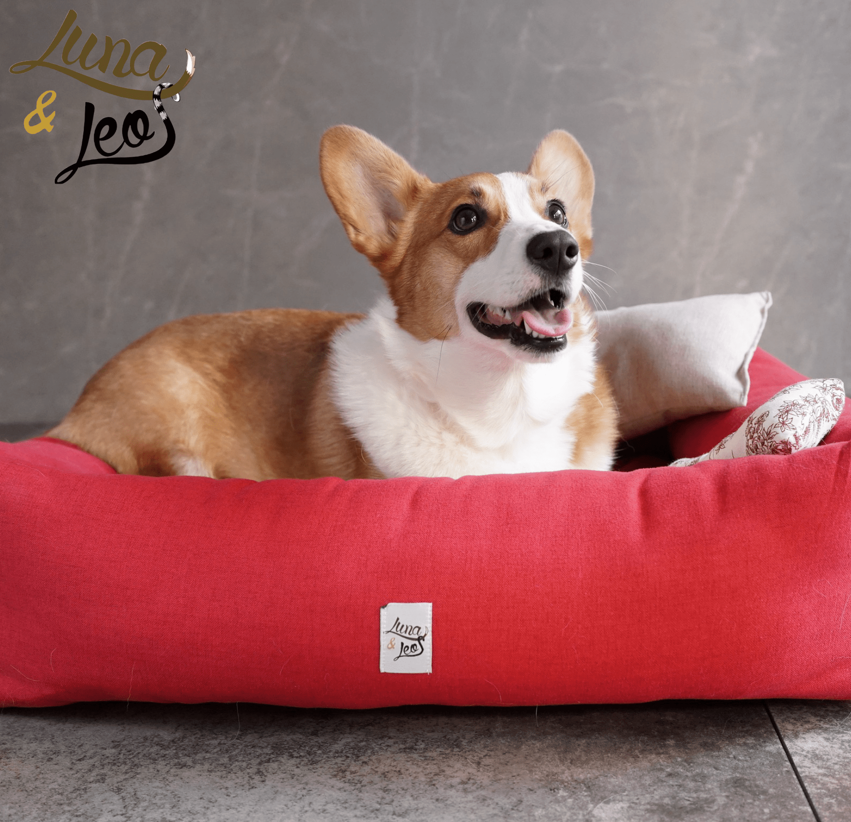 犬猫用ベッド Leo & Luna シッタコレクション - おしゃれなインテリアにも最適｜犬猫用ベッド｜犬用ベッド コーギー犬も快適
