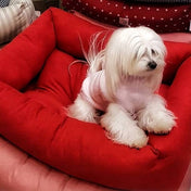 犬犬猫用ベッド Leo & Luna シッタコレクション スカーレッド| 快適・スタイリッシュでインテリアにも最適｜犬猫用ベッド