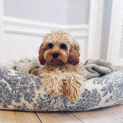 犬猫用ベッド Leo & Luna トワルドジュイ ブルードゥシーヌ | 高級感あるブルー生地のデザイン｜犬猫用ベッド｜犬猫用ベッド Leo & Luna トワルドジュイ ブルードゥシーヌ | 高級感あるブルー生地のデザイン｜犬猫用ベッド