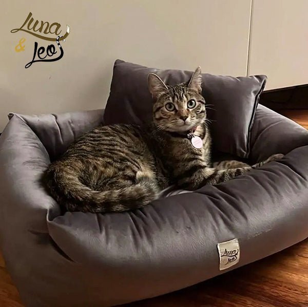 犬猫用ベッド | Leo & Luna ベルベットコレクション - 撥水性・通気性