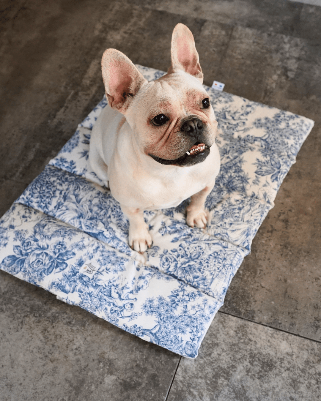 犬用 ロールアップマット Leo & Luna トワルドジュイコレクション｜犬用マット｜犬用 ロールアップマット Leo & Luna トワルドジュイコレクション