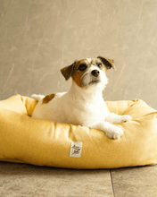 犬猫用ベッド Leo & Luna シッタコレクション - おしゃれなインテリアにも最適｜犬猫用ベッド｜犬猫用ベッド Leo & Luna シッタコレクション - おしゃれなインテリアにも最適
