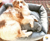 犬猫用ベッド Leo & Luna ベルベットコレクション - 撥水性と通気性抜群のおしゃれベッド｜犬猫用ベッド｜犬猫用ベッド Leo & Luna ベルベットコレクション - 撥水性と通気性抜群のおしゃれベッド｜犬猫用ベッド