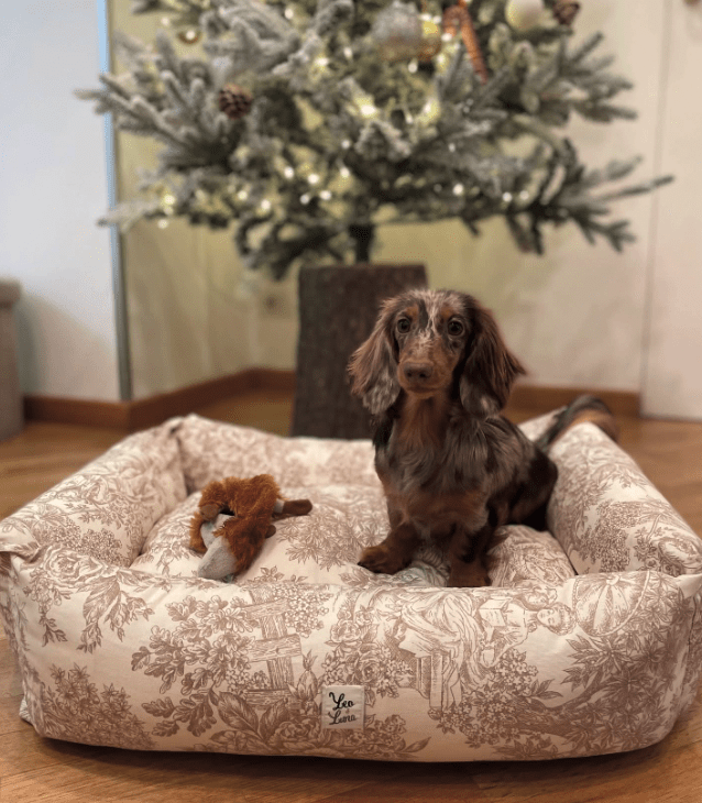 犬用ベッド 洗える カバー交換できる 高級 イタリア製 Leo & Luna｜犬猫用ベッド｜犬用ベッド 洗える カバー交換できる 高級 イタリア製 Leo & Luna