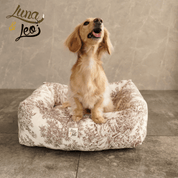 犬猫用ベッド Leo & Luna - トワルドジュイコレクション | エレガントで爪のひっかけに強い生地使用｜犬猫用ベッド