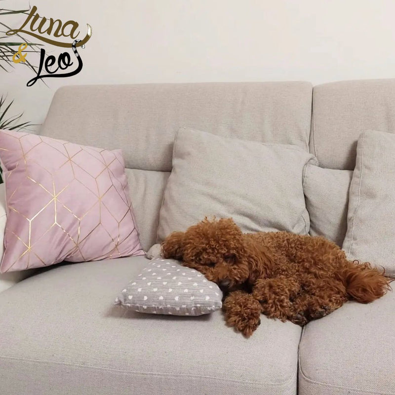 犬猫用クッション枕 Leo & Luna ピローウ – 快適な休息とサポートを実現｜犬猫用ベッド