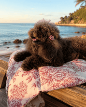 犬用ロールアップマット 軽量 持ち運び おしゃれ カフェ・旅行・車用 Leo & Luna｜犬用マット｜犬用ロールアップマット 軽量 持ち運び おしゃれ カフェ・旅行・車用 Leo & Luna