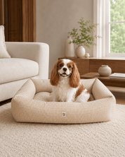 犬用ベッド 洗える カバー交換できる 高級 イタリア製 Leo & Luna｜犬猫用ベッド｜犬用ベッド 洗える カバー交換できる 高級 イタリア製 Leo & Luna