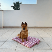 犬用 ロールアップマット Leo & Luna トワルドジュイコレクション｜犬用マット｜スクリーンショット 2024 - 11 - 22 20.42.10.png__PID:ee7af9b4 - 3c2c - 4898 - 9699 - b8609022f277
