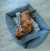 犬猫用クッション枕 Leo & Luna ピロー – 快適な休息とサポートを実現｜犬猫用ベッド｜犬猫用クッション枕 Leo & Luna ピロー – 快適な休息とサポートを実現