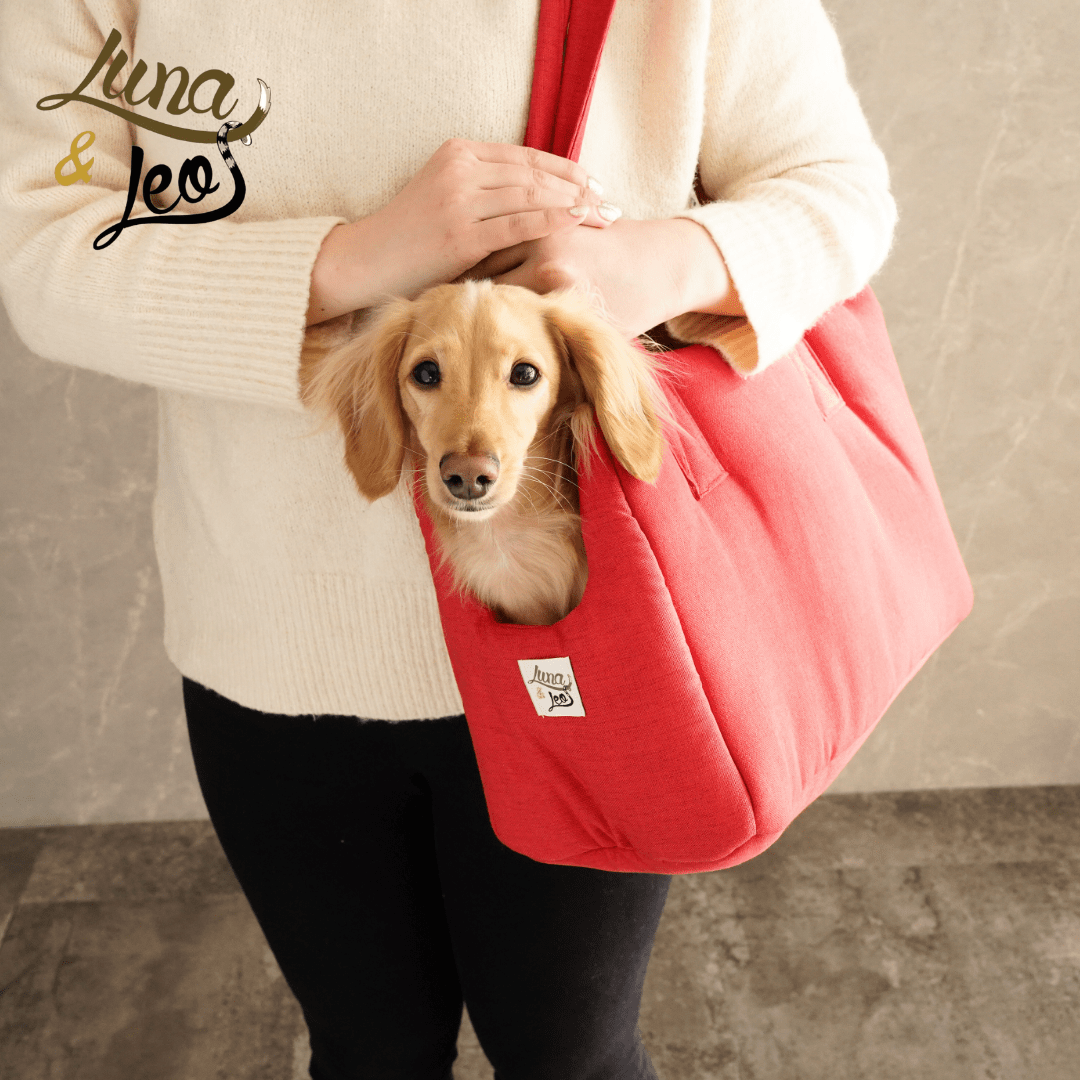 犬用キャリーバッグ Leo & Luna - シッタコレクション 軽量 お出かけを便利｜犬用バッグ