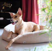 犬猫用ベッド Leo & Luna シッタコレクション - おしゃれなインテリアにも最適｜犬猫用ベッド｜犬猫用ベッド Leo & Luna シッタコレクション - おしゃれなインテリアにも最適｜犬猫用ベッド