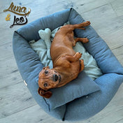 犬猫用ベッド Leo & Luna シッタコレクション - おしゃれなインテリアにも最適｜犬猫用ベッド｜犬用ベッドLeo & Lunaのシッタコレクションのベッドで熟睡中の小型犬