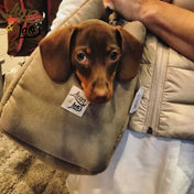 犬猫用 キャリーバッグ Leo & Luna トワルドジュイコレクション｜犬用バッグ｜レオエルナ キャリーバッグを持つ飼い主、おしゃれな外出スタイルにマッチ