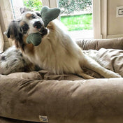 犬猫ベッド Leo & Luna ペット用ベッド ヌヴォラベルベット｜ペット・ペット用品>ペット用品>犬用品>犬用ベッド｜犬猫ベッド Leo & Luna ペット用ベッド ヌヴォラベルベット