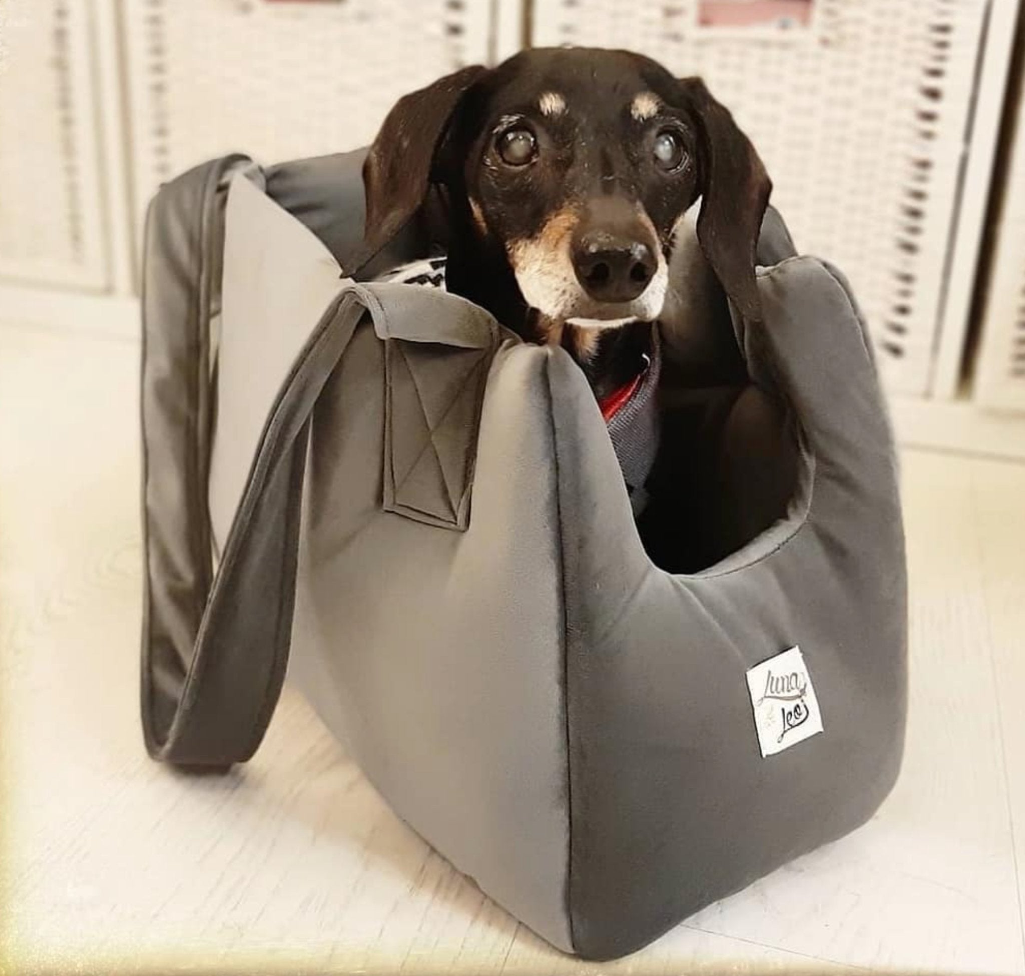 犬猫用 キャリーバッグ Leo & Luna トワルドジュイコレクション｜犬用バッグ｜ふんわりしたクッション性で愛犬に優しいレオエルナ キャリーバッグ