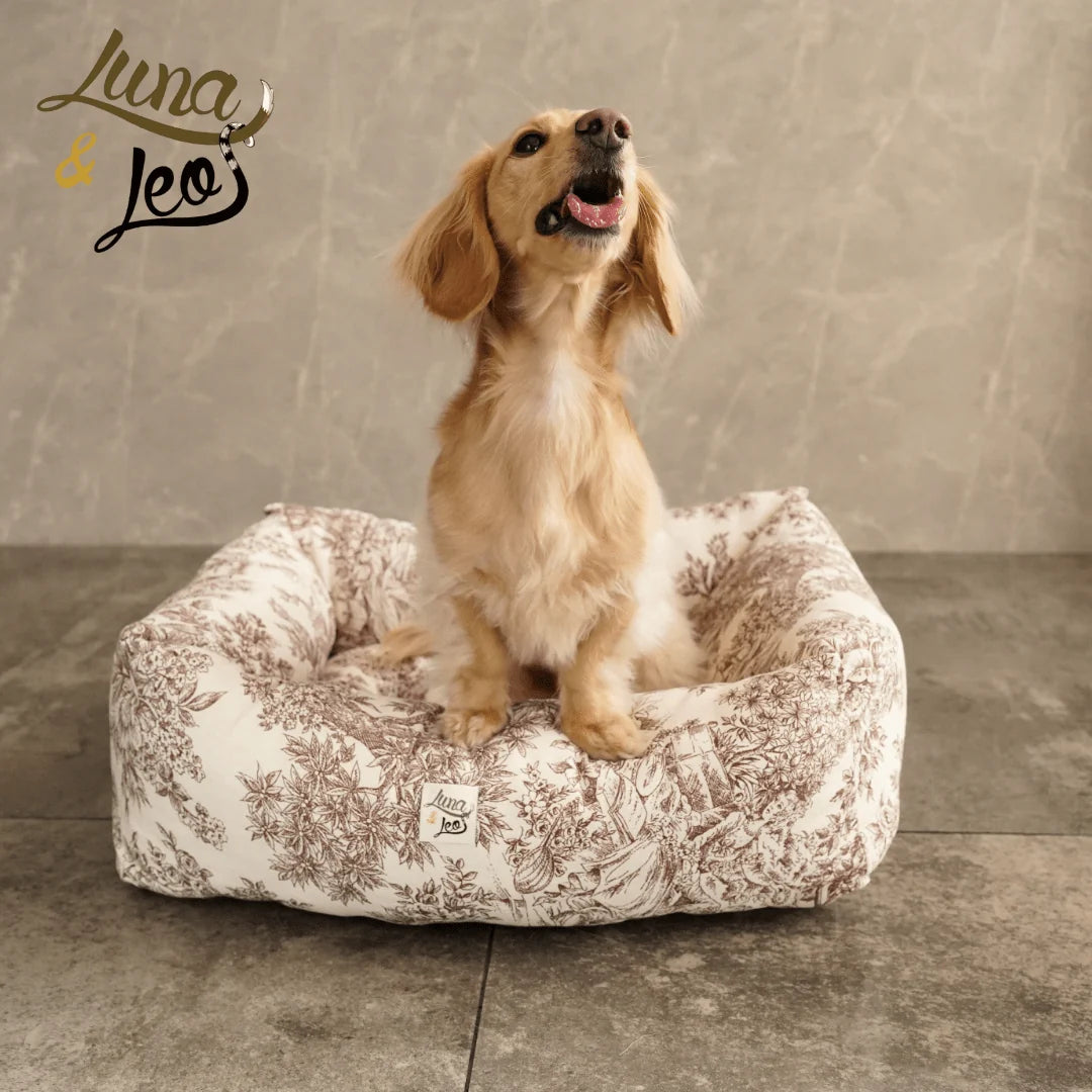 leo-luna-shop-name-5388060.webp