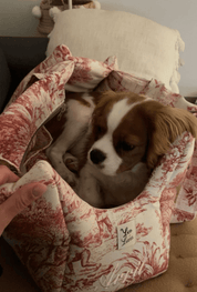犬猫用 キャリーバッグ カバーあり Leo & Luna トワルドジュイコレクション｜犬用バッグ｜犬猫用 キャリーバッグ カバーあり Leo & Luna トワルドジュイコレクション