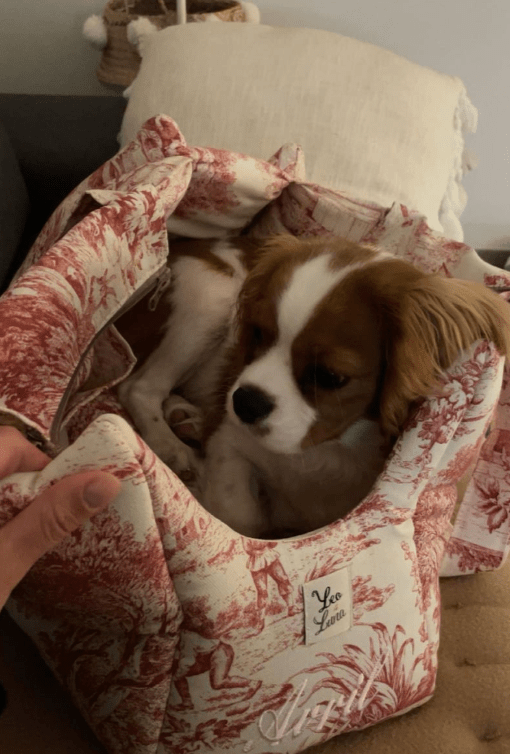 犬猫用 キャリーバッグ カバーあり Leo & Luna トワルドジュイコレクション｜犬用バッグ｜犬猫用 キャリーバッグ カバーあり Leo & Luna トワルドジュイコレクション