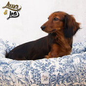 犬猫用ベッド Leo & Luna - トワルドジュイコレクション | エレガントで爪のひっかけに強い生地使用｜犬猫用ベッド｜犬猫用ベッド Leo & Luna - トワルドジュイコレクション | エレガントで爪のひっかけに強い生地使用｜犬猫用ベッド