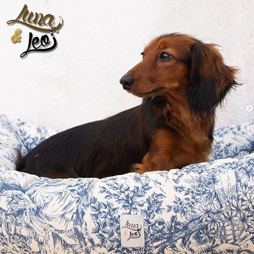 犬猫用ベッド Leo & Luna - トワルドジュイコレクション | エレガントで爪のひっかけに強い生地使用｜犬猫用ベッド｜犬猫用ベッド Leo & Luna - トワルドジュイコレクション | エレガントで爪のひっかけに強い生地使用｜犬猫用ベッド