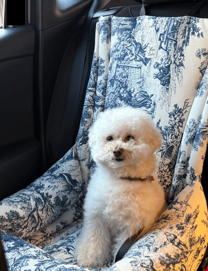犬用 ドライブ用ベッド プレミアム Leo & Luna - 高級車対応 耐久性抜群｜犬用ドライブ用ベッド｜犬用 ドライブ用ベッド プレミアム Leo & Luna - 高級車対応 耐久性抜群