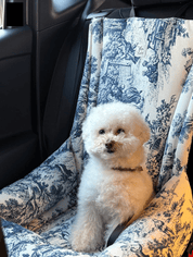 犬用 ドライブ用ベッド プレミアム Leo & Luna - 高級車対応 耐久性抜群｜犬用ドライブ用ベッド｜犬用 ドライブ用ベッド プレミアム Leo & Luna - 高級車対応 耐久性抜群