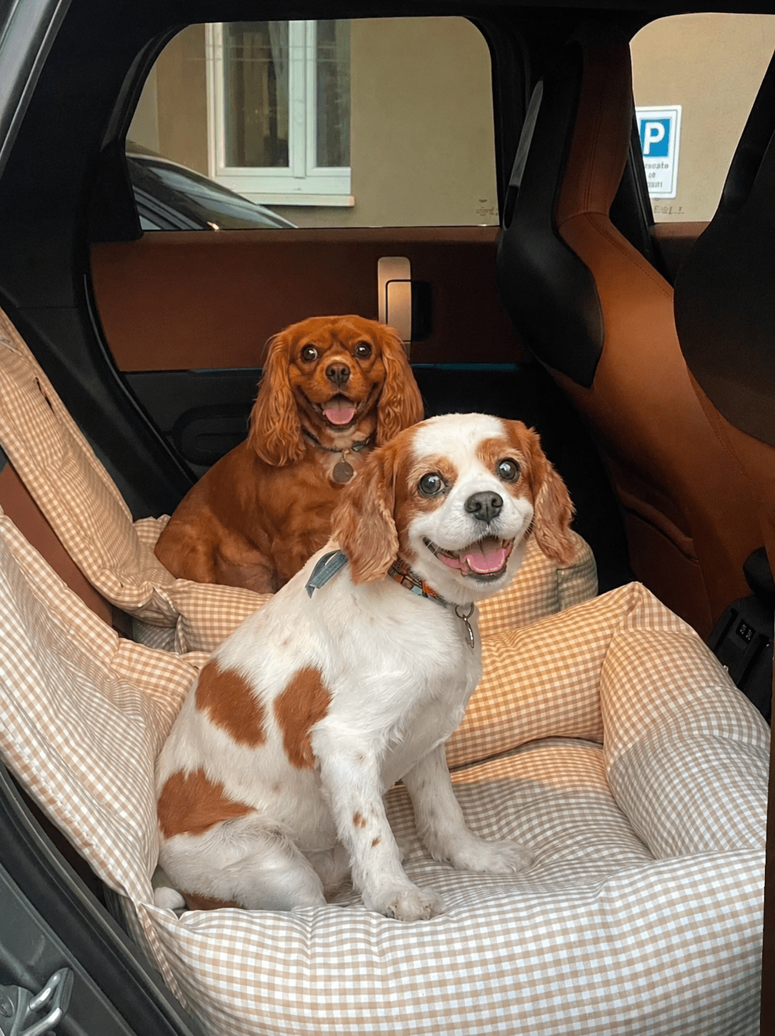 犬用 ドライブ用ベッド プレミアム Leo & Luna - 高級車対応 耐久性抜群｜犬用ドライブ用ベッド｜犬用 ドライブ用ベッド プレミアム Leo & Luna - 高級車対応 耐久性抜群
