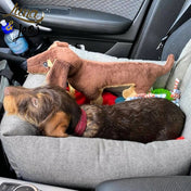 犬用 ドライブ用ベッド プレミアム Leo & Luna - 高級車対応 耐久性抜群｜犬用ドライブ用ベッド｜ドライブ中も安全に過ごせるレオエルナ ドライブ用ベッドに座る小型犬