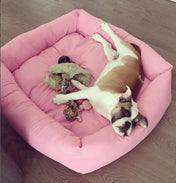 犬猫用ベッド Leo & Luna【限定品】フィオレコレクション｜犬猫用ベッド｜犬猫用ベッド Leo & Luna【限定品】フィオレコレクション - 自然界の色彩にインスパイアされた洗練デザイン、イタリアでも高評価｜犬猫用ベッド