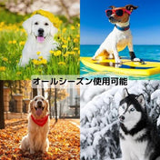 犬猫用ベッド Leo & Luna トワルドジュイ ブルードゥシーヌ | 高級感あるブルー生地のデザイン｜犬猫用ベッド｜犬猫用ベッド Leo & Luna トワルドジュイ ブルードゥシーヌ | オールシーズン使用可能｜犬猫用ベッド