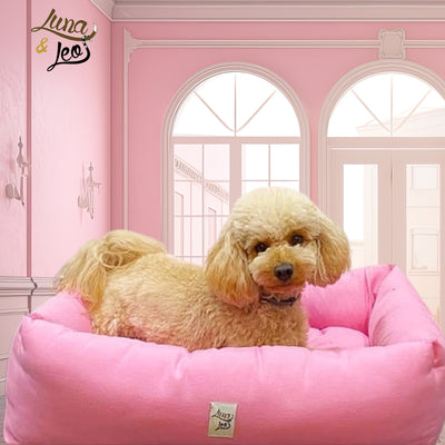 犬用ベッド 猫用ベッド Leo & Luna フィオレベッド S, M, Lサイズ/ 8カラー 耐久性 可愛い